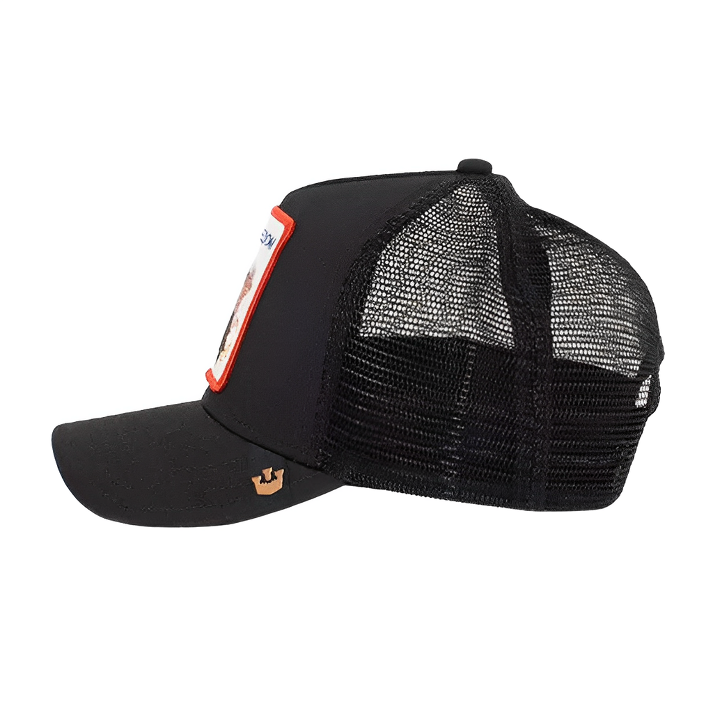 Goorin bros eagle hat top